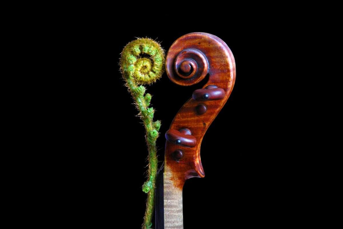 Graphic featuring a violin and leaf courtesy of Tafelmusik Baroque Orchestra